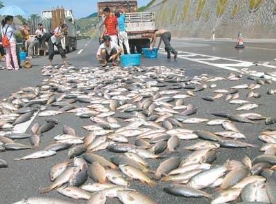 空中降魚(yú)視頻 揭秘罕見(jiàn)空中降魚(yú)現象原理，末日預兆恐怖的空中降魚(yú)實(shí)圖