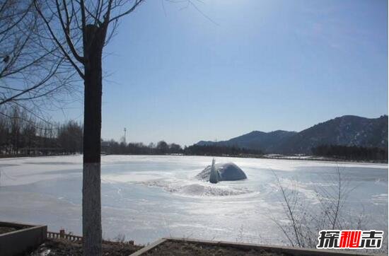 青海湖水怪之謎，體長(cháng)超14米形似恐龍(視頻)