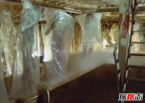 詭異的彭加木事件，彭加木攜帶病毒失蹤引發(fā)大量復制人