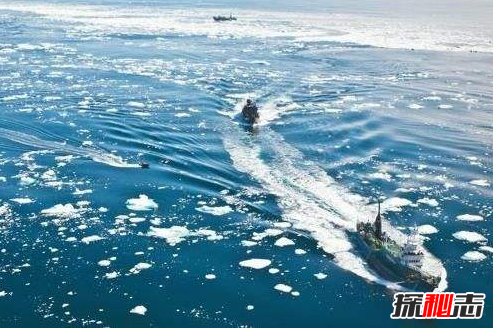 日捕鯨船,南極“人形海怪”之謎(意味著(zhù)什么)